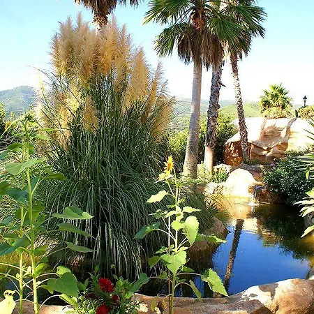 Ostella & Отель 4*